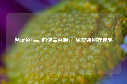 畅玩免Steam的使命召唤9,免安装别样体验