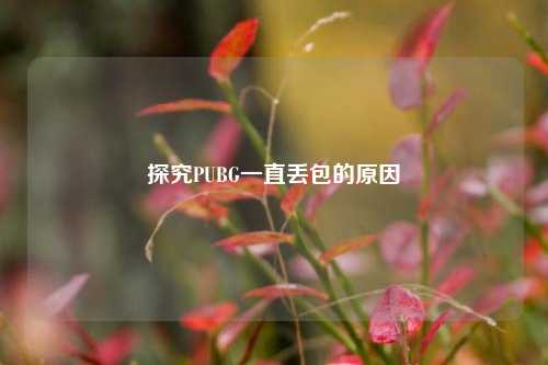 探究PUBG一直丢包的原因