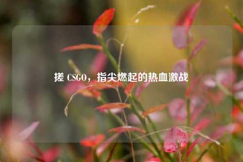 搓 CSGO,指尖燃起的热血激战