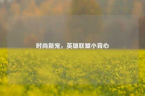 时尚新宠，英雄联盟小背心