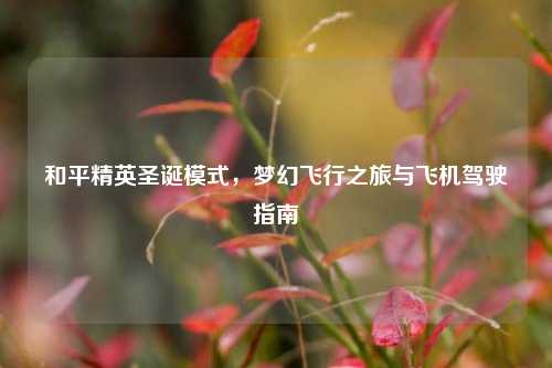 和平精英圣诞模式,梦幻飞行之旅与飞机驾驶指南