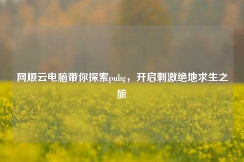 网顺云电脑带你探索pubg,开启刺激绝地求生之旅