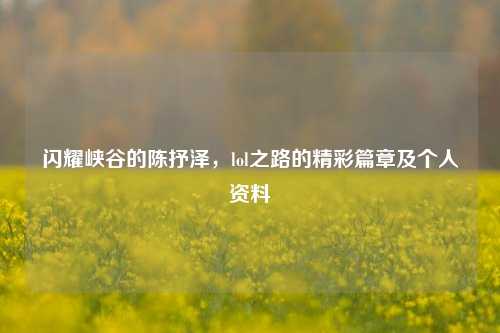 闪耀峡谷的陈抒泽,lol之路的精彩篇章及个人资料