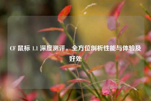 CF 鼠标 1.1 深度测评，全方位剖析性能与体验及好处