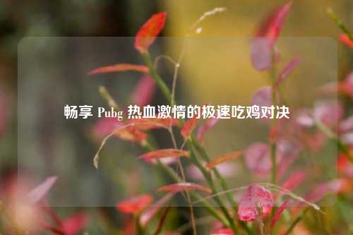 畅享 Pubg 热血激情的极速吃鸡对决