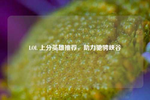 LOL 上分英雄推荐,助力驰骋峡谷