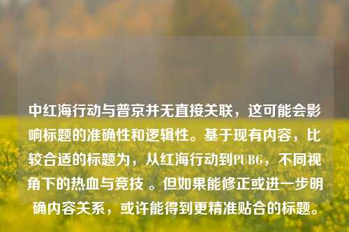 中红海行动与普京并无直接关联,这可能会影响标题的准确性和逻辑性。基于现有内容,比较合适的标题为,从红海行动到PUBG,不同视角下的热血与竞技 。但如果能修正或进一步明确内容关系,或许能得到更精准贴合的标题。