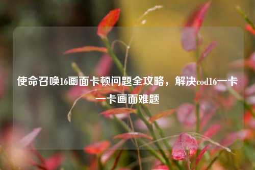使命召唤16画面卡顿问题全攻略,解决cod16一卡一卡画面难题