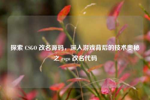 探索 CSGO 改名源码,深入游戏背后的技术奥秘之 csgo 改名代码