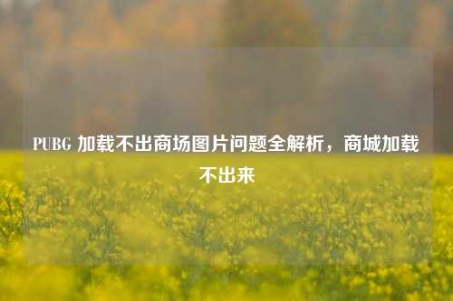 PUBG 加载不出商场图片问题全解析,商城加载不出来