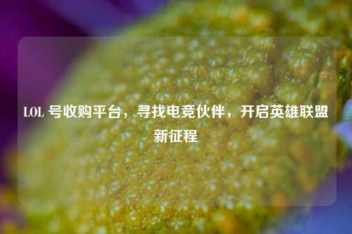 LOL 号收购平台，寻找电竞伙伴，开启英雄联盟新征程