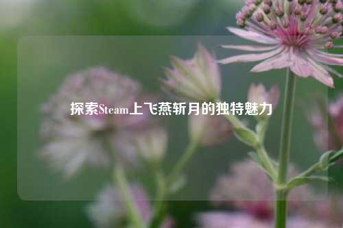 探索Steam上飞燕斩月的独特魅力