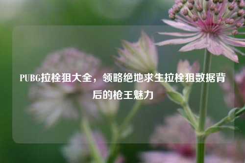 PUBG拉栓狙大全,领略绝地求生拉栓狙数据背后的枪王魅力