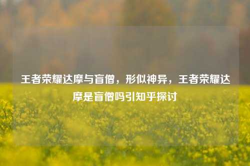 王者荣耀达摩与盲僧，形似神异，王者荣耀达摩是盲僧吗引知乎探讨