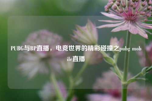 PUBG与BP直播，电竞世界的精彩碰撞之pubg mobile直播
