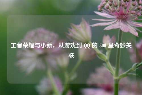 王者荣耀与小新,从游戏到 QQ 的 500 星奇妙关联