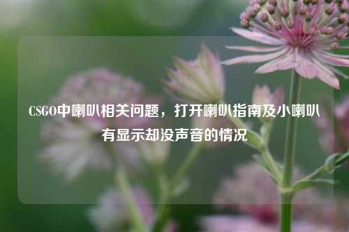 CSGO中喇叭相关问题，打开喇叭指南及小喇叭有显示却没声音的情况