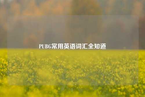 PUBG常用英语词汇全知道