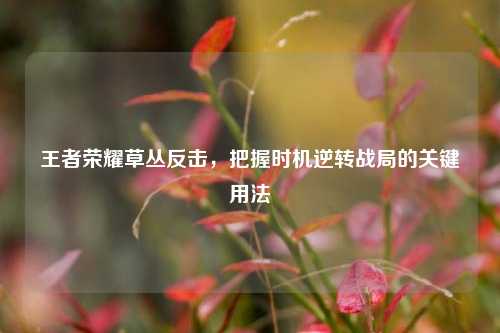 王者荣耀草丛反击,把握时机逆转战局的关键用法