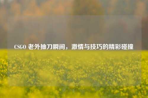 CSGO 老外抽刀瞬间,激情与技巧的精彩碰撞