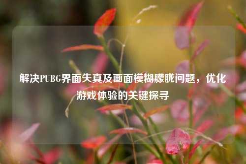 解决PUBG界面失真及画面模糊朦胧问题,优化游戏体验的关键探寻