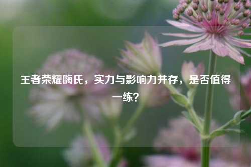 王者荣耀嗨氏，实力与影响力并存，是否值得一练？