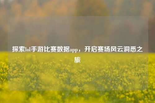 探索lol手游比赛数据app,开启赛场风云洞悉之旅