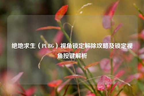 绝地求生（PUBG）视角锁定解除攻略及锁定视角按键解析