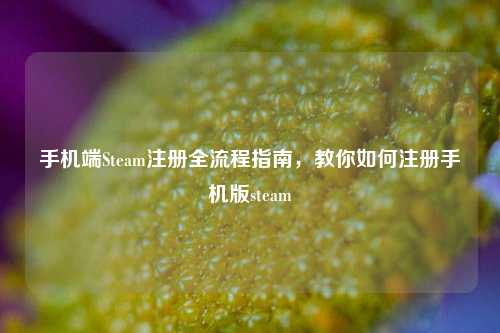 手机端Steam注册全流程指南,教你如何注册手机版steam