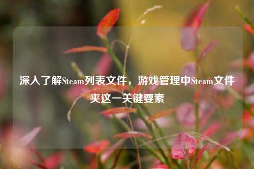 深入了解Steam列表文件，游戏管理中Steam文件夹这一关键要素