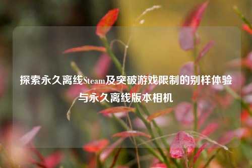 探索永久离线Steam及突破游戏限制的别样体验与永久离线版本相机
