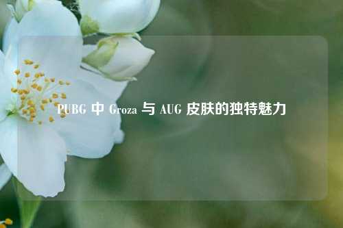 PUBG 中 Groza 与 AUG 皮肤的独特魅力