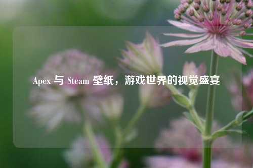 Apex 与 Steam 壁纸,游戏世界的视觉盛宴