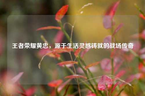王者荣耀黄忠，源于生活灵感铸就的战场传奇