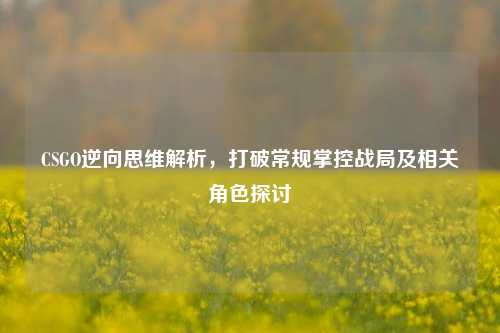 CSGO逆向思维解析,打破常规掌控战局及相关角色探讨