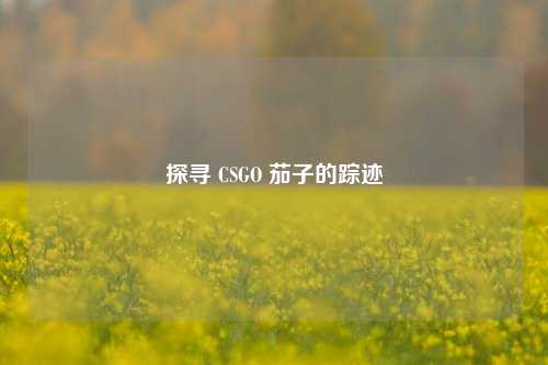 探寻 CSGO 茄子的踪迹