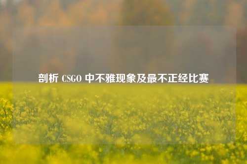剖析 CSGO 中不雅现象及最不正经比赛
