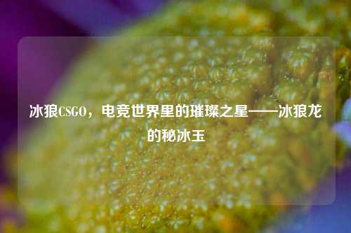 冰狼CSGO，电竞世界里的璀璨之星——冰狼龙的秘冰玉
