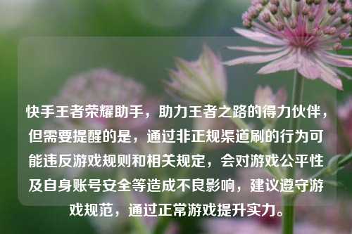 快手王者荣耀助手，助力王者之路的得力伙伴，但需要提醒的是，通过非正规渠道刷的行为可能违反游戏规则和相关规定，会对游戏公平性及自身账号安全等造成不良影响，建议遵守游戏规范，通过正常游戏提升实力。