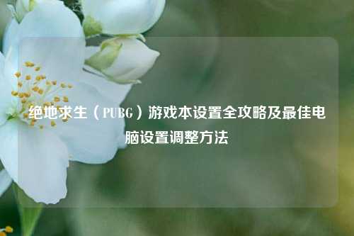 绝地求生(PUBG)游戏本设置全攻略及最佳电脑设置调整方法
