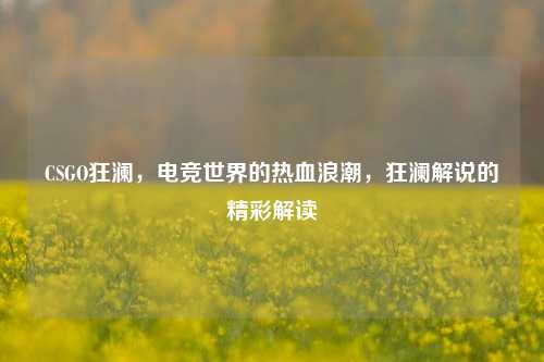 CSGO狂澜，电竞世界的热血浪潮，狂澜解说的精彩解读