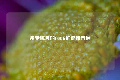 备受瞩目的PUBG解说都有谁