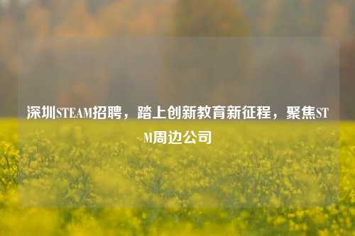 深圳STEAM招聘,踏上创新教育新征程,聚焦STM周边公司