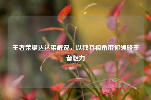 王者荣耀达达弟解说,以独特视角带你领略王者魅力