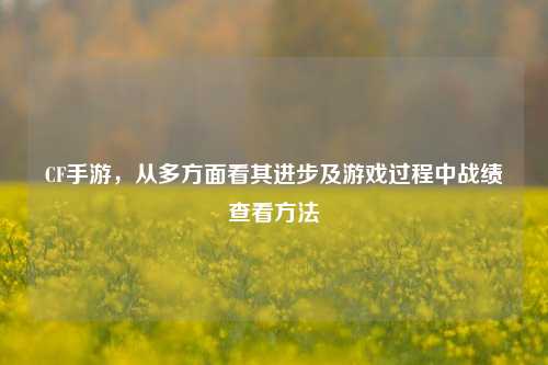 CF手游,从多方面看其进步及游戏过程中战绩查看方法