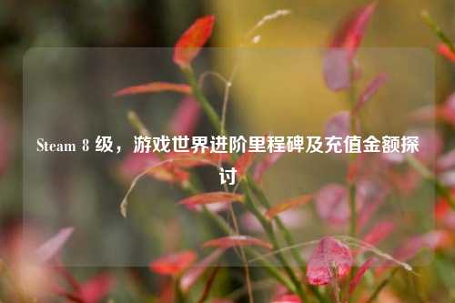 Steam 8 级，游戏世界进阶里程碑及充值金额探讨