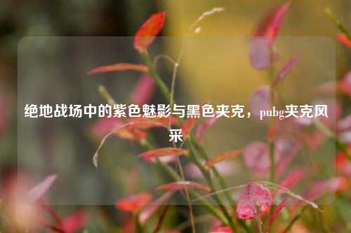 绝地战场中的紫色魅影与黑色夹克,pubg夹克风采