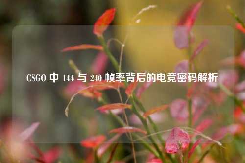 CSGO 中 144 与 240 帧率背后的电竞密码解析