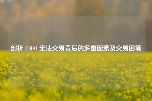 剖析 CSGO 无法交易背后的多重因素及交易困境