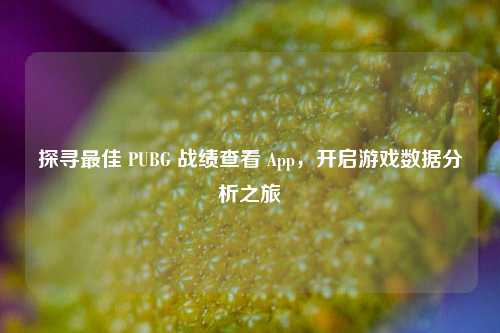 探寻最佳 PUBG 战绩查看 App,开启游戏数据分析之旅